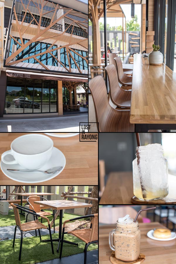 thecoffeetree1
