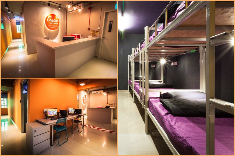 coziee-lodge-1